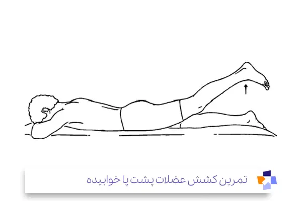 تمرین کشش عضلات پشت پا به حالت خوابیده، بهترین ورزش زانو درد با تصویر|مجله طبی