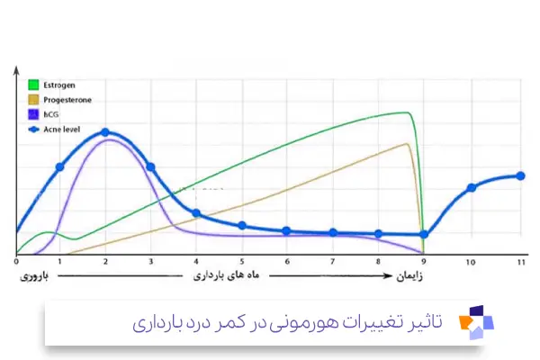 تغییرات هورمونی عاملی برای کمر درد در اوایل بارداری|مجله طبی