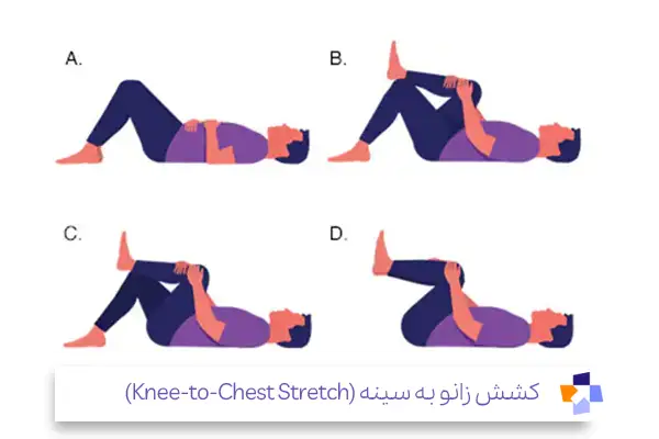 کشش زانو به سینه: ورزش موثر برای كمر درد|مجله طبی