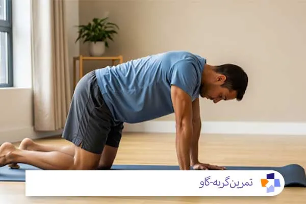 حرکت گربه-گاو برای درمان درد سیاتیک | مجله طبی