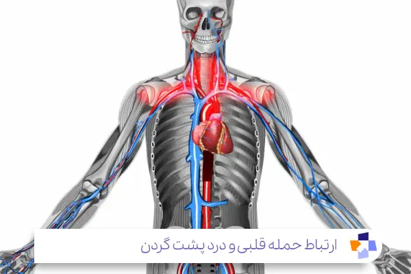 بیماری های قلبی؛ یکی از علائم گردن درد خطرناک|مجله طبی