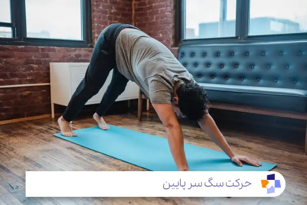 حرکت سگ سر پایین (Adho Mukha Svanasana)|مجله طبی