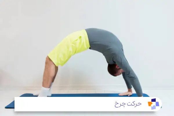 حرکت چرخ (Urdhva Dhanurasana)؛ از مفیدترین حرکات یوگا برای دیسک کمر|مجله طبی