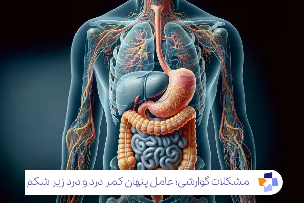 یبوست التهاب روده (IBD) آپاندیسیت و درد کمر و زیر شکم|مجله طبی