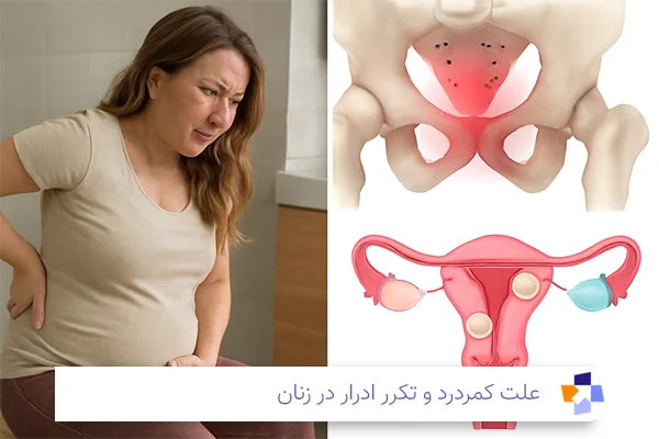 علت کمردرد و تکرر ادرار در زنان | مجله طبی