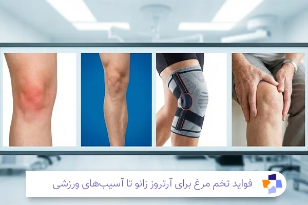 فواید پروتئین تخم مرغ | مجله طبی