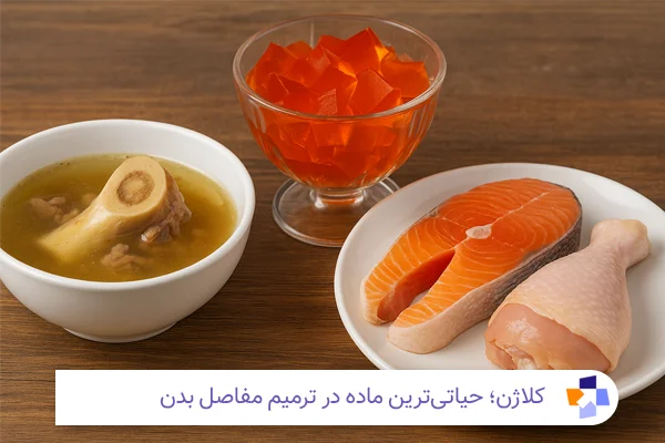 کلاژن برای تقویت زانو | مجله طبی