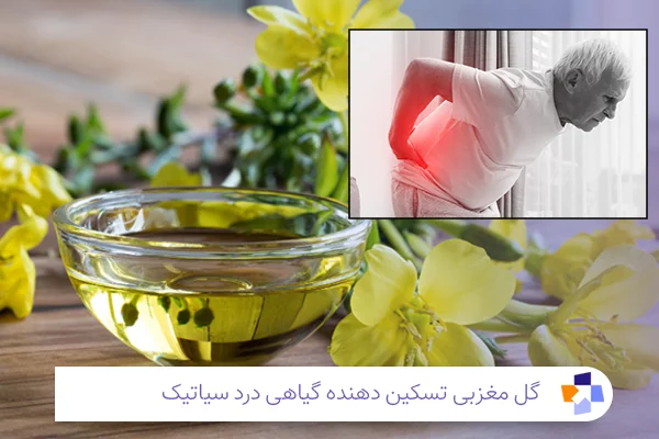 گل مغربی؛ برای درد سیاتیک | مجله طبی