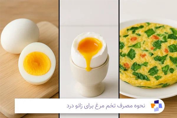 بهترین زمان مصرف تخم مرغ برای زانو درد | مجله طبی