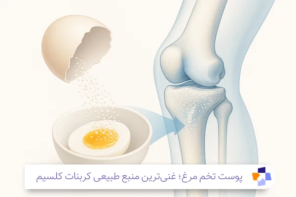 خواص پوست تخم مرغ | مجله طبی