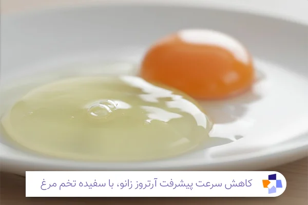 خواص سفیده تخم مرغ برای زانو درد | مجله طبی