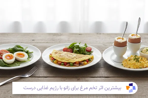 برنامه غذایی با تخم مرغ | مجله طبی