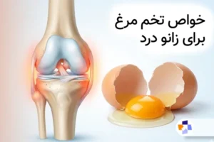 تخم مرغ برای زانو درد | مجله طبی