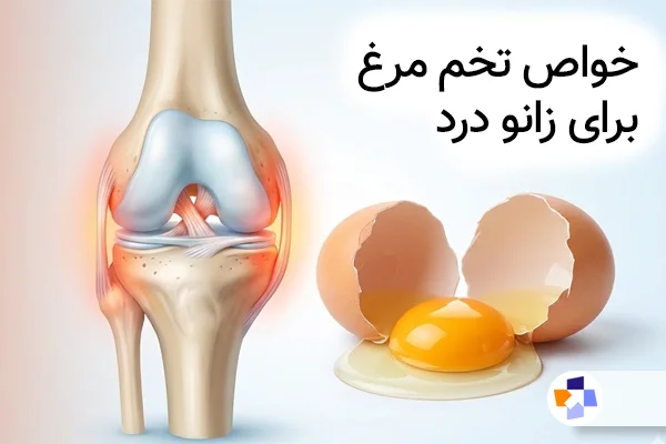 تخم مرغ برای زانو درد | مجله طبی
