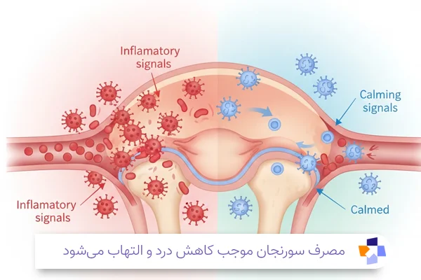 خواص قرص سورنجان| مجله طبی