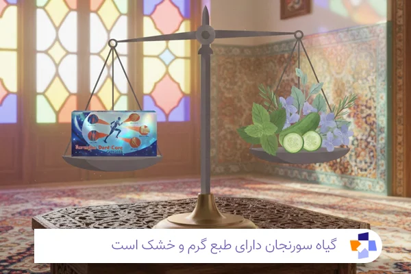 کاربرد سورنجان در طب سنتی ایرانی| مجله طبی